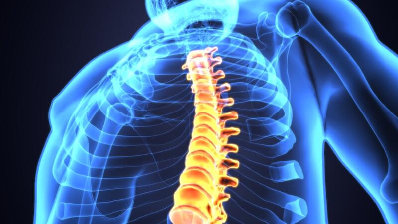 Physiotherapy for spinal cord injury on the Sunshine Coast